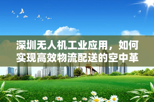 深圳无人机工业应用，如何实现高效物流配送的空中革命？