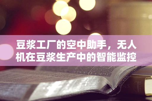 豆浆工厂的空中助手，无人机在豆浆生产中的智能监控应用？