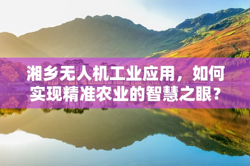 湘乡无人机工业应用，如何实现精准农业的智慧之眼？