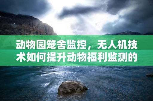 动物园笼舍监控，无人机技术如何提升动物福利监测的效率？