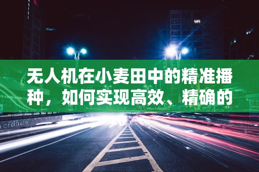无人机在小麦田中的精准播种，如何实现高效、精确的种植？