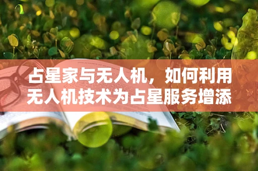 占星家与无人机，如何利用无人机技术为占星服务增添科学色彩？