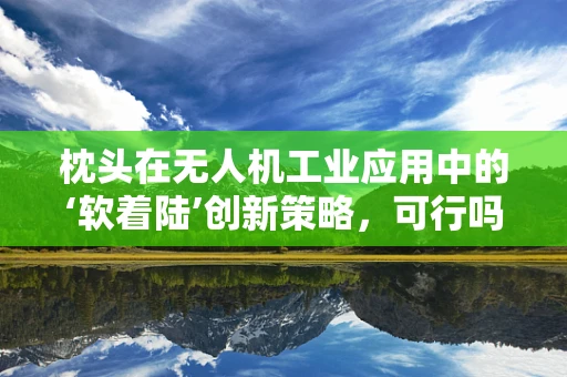 枕头在无人机工业应用中的‘软着陆’创新策略，可行吗？