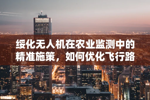 绥化无人机在农业监测中的精准施策，如何优化飞行路径以提升效率？
