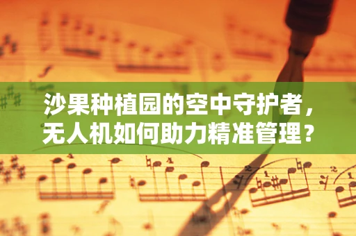 沙果种植园的空中守护者，无人机如何助力精准管理？