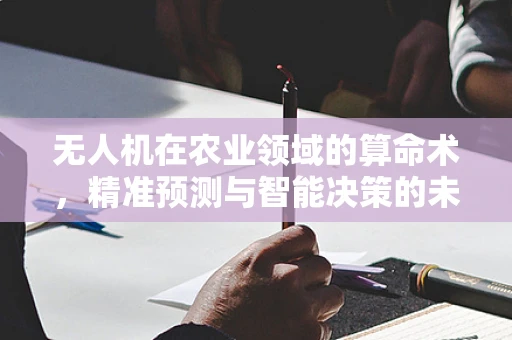 无人机在农业领域的算命术，精准预测与智能决策的未来？