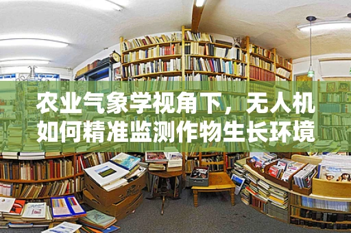农业气象学视角下，无人机如何精准监测作物生长环境？