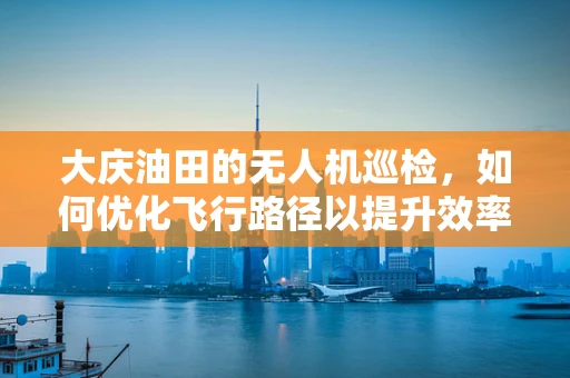 大庆油田的无人机巡检，如何优化飞行路径以提升效率？