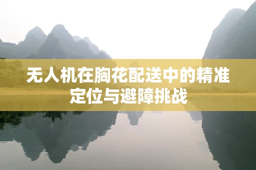 无人机在胸花配送中的精准定位与避障挑战