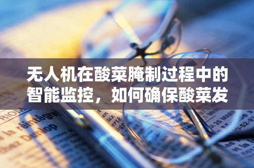 无人机在酸菜腌制过程中的智能监控，如何确保酸菜发酵的均匀性与安全性？