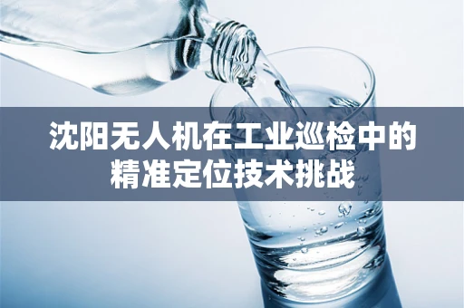 沈阳无人机在工业巡检中的精准定位技术挑战
