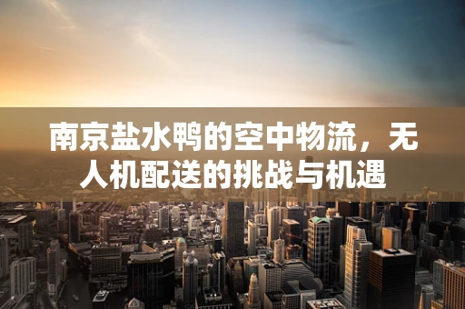 南京盐水鸭的空中物流，无人机配送的挑战与机遇