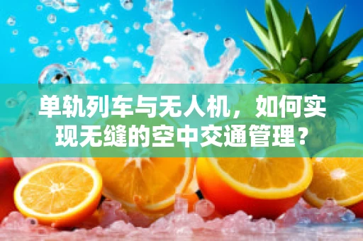 单轨列车与无人机，如何实现无缝的空中交通管理？