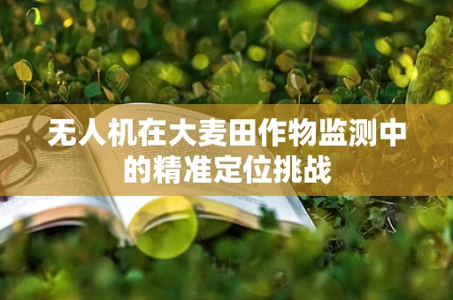 无人机在大麦田作物监测中的精准定位挑战