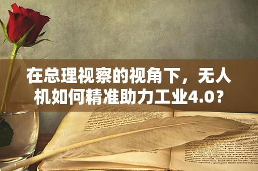 在总理视察的视角下，无人机如何精准助力工业4.0？