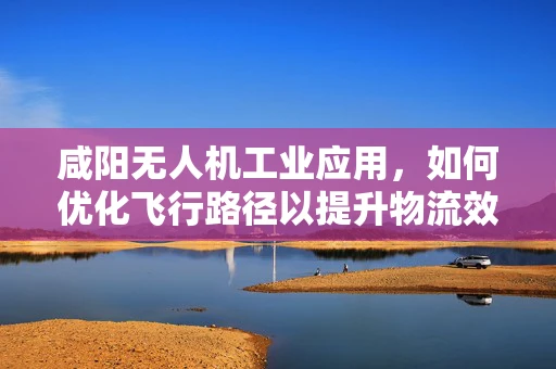 咸阳无人机工业应用，如何优化飞行路径以提升物流效率？