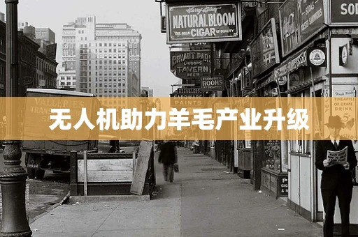 无人机助力羊毛产业升级