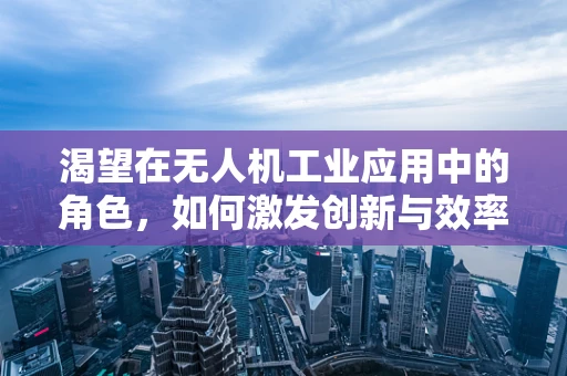 渴望在无人机工业应用中的角色，如何激发创新与效率的双重飞跃？