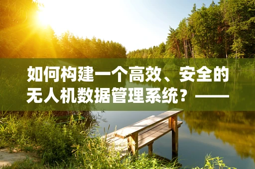 如何构建一个高效、安全的无人机数据管理系统？——基于数据库系统的探索