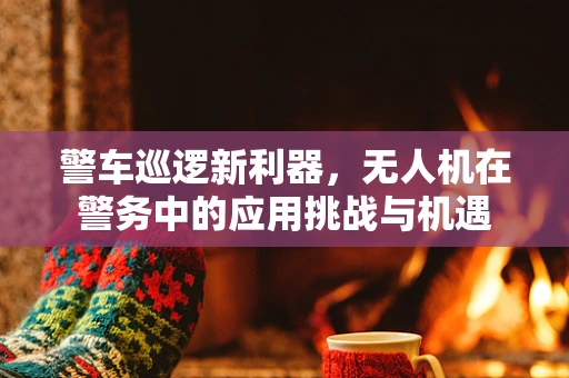 警车巡逻新利器，无人机在警务中的应用挑战与机遇