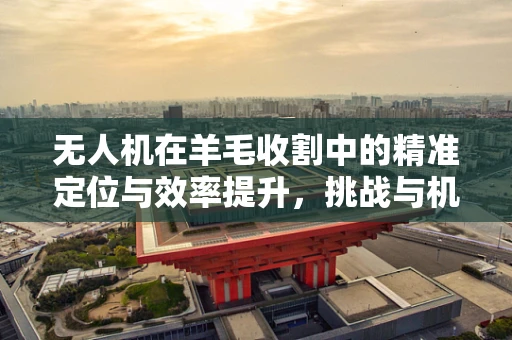 无人机在羊毛收割中的精准定位与效率提升，挑战与机遇