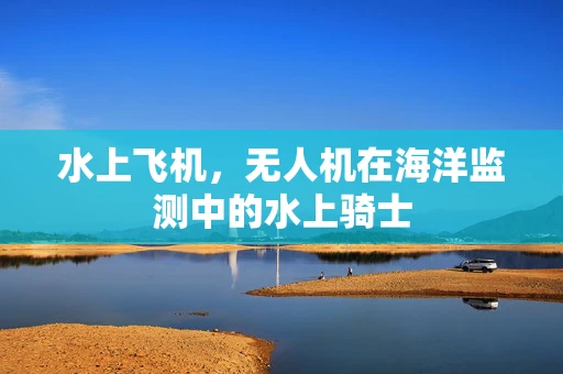 水上飞机，无人机在海洋监测中的水上骑士