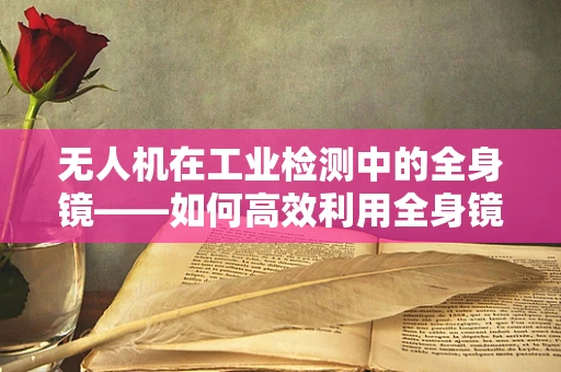 无人机在工业检测中的全身镜——如何高效利用全身镜技术提升视觉识别精度？