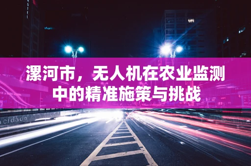 漯河市，无人机在农业监测中的精准施策与挑战