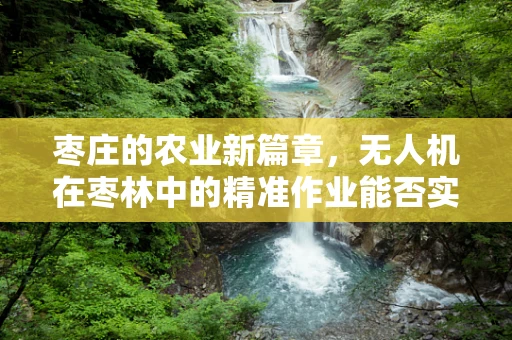 枣庄的农业新篇章，无人机在枣林中的精准作业能否实现高效管理？
