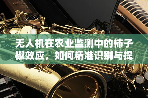 无人机在农业监测中的柿子椒效应，如何精准识别与提升效率？