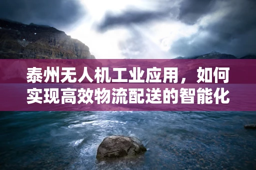 泰州无人机工业应用，如何实现高效物流配送的智能化升级？
