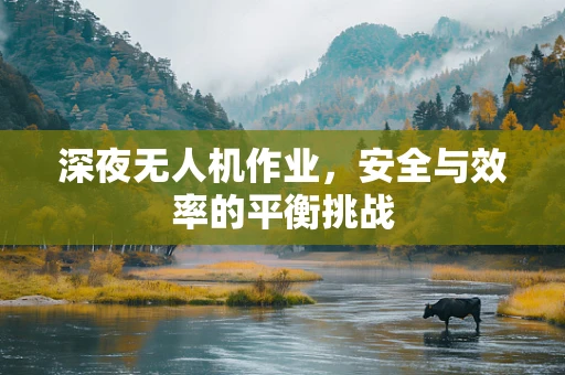 深夜无人机作业，安全与效率的平衡挑战