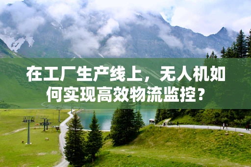 在工厂生产线上，无人机如何实现高效物流监控？