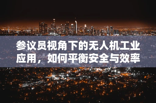参议员视角下的无人机工业应用，如何平衡安全与效率？
