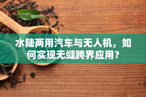 水陆两用汽车与无人机，如何实现无缝跨界应用？