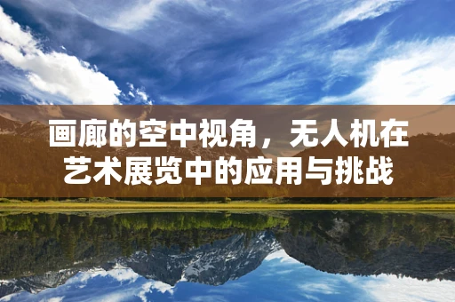 画廊的空中视角，无人机在艺术展览中的应用与挑战