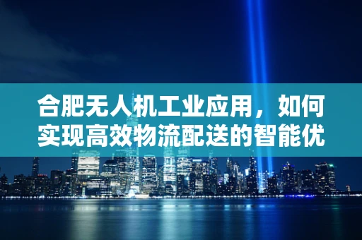 合肥无人机工业应用，如何实现高效物流配送的智能优化？