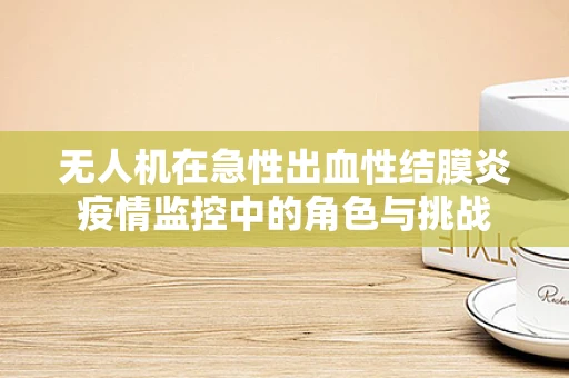无人机在急性出血性结膜炎疫情监控中的角色与挑战