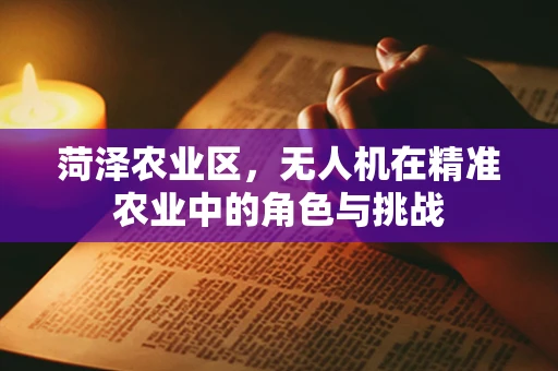 菏泽农业区，无人机在精准农业中的角色与挑战