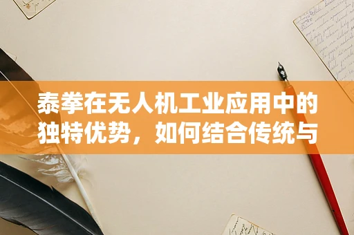 泰拳在无人机工业应用中的独特优势，如何结合传统与现代？
