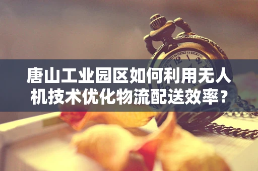 唐山工业园区如何利用无人机技术优化物流配送效率？
