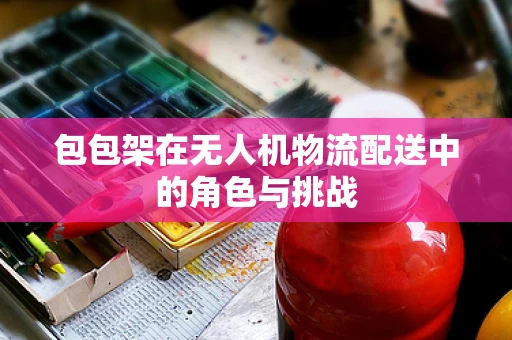 包包架在无人机物流配送中的角色与挑战