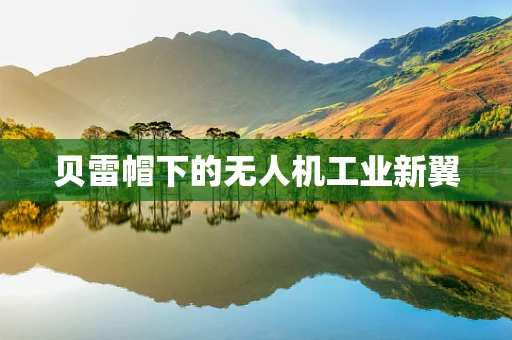 贝雷帽下的无人机工业新翼