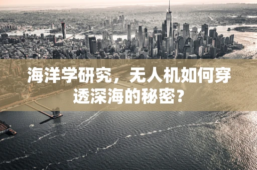 海洋学研究，无人机如何穿透深海的秘密？