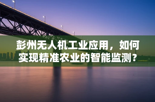 彭州无人机工业应用，如何实现精准农业的智能监测？