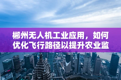 郴州无人机工业应用，如何优化飞行路径以提升农业监测效率？
