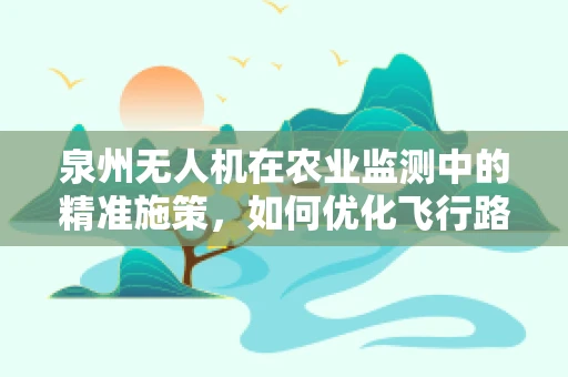 泉州无人机在农业监测中的精准施策，如何优化飞行路径以提升监测效率？