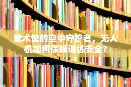 武术馆的空中守护者，无人机如何保障训练安全？