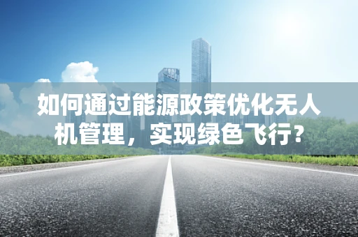 如何通过能源政策优化无人机管理，实现绿色飞行？