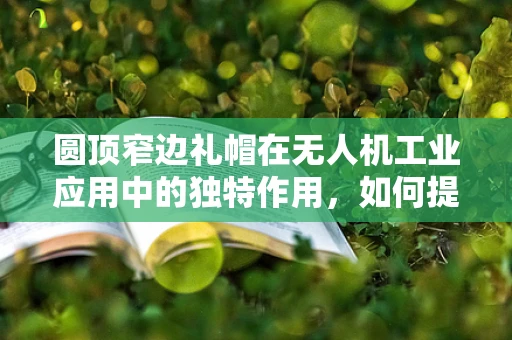圆顶窄边礼帽在无人机工业应用中的独特作用，如何提升飞行稳定性？